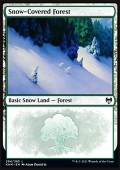 Snow-Covered Forest